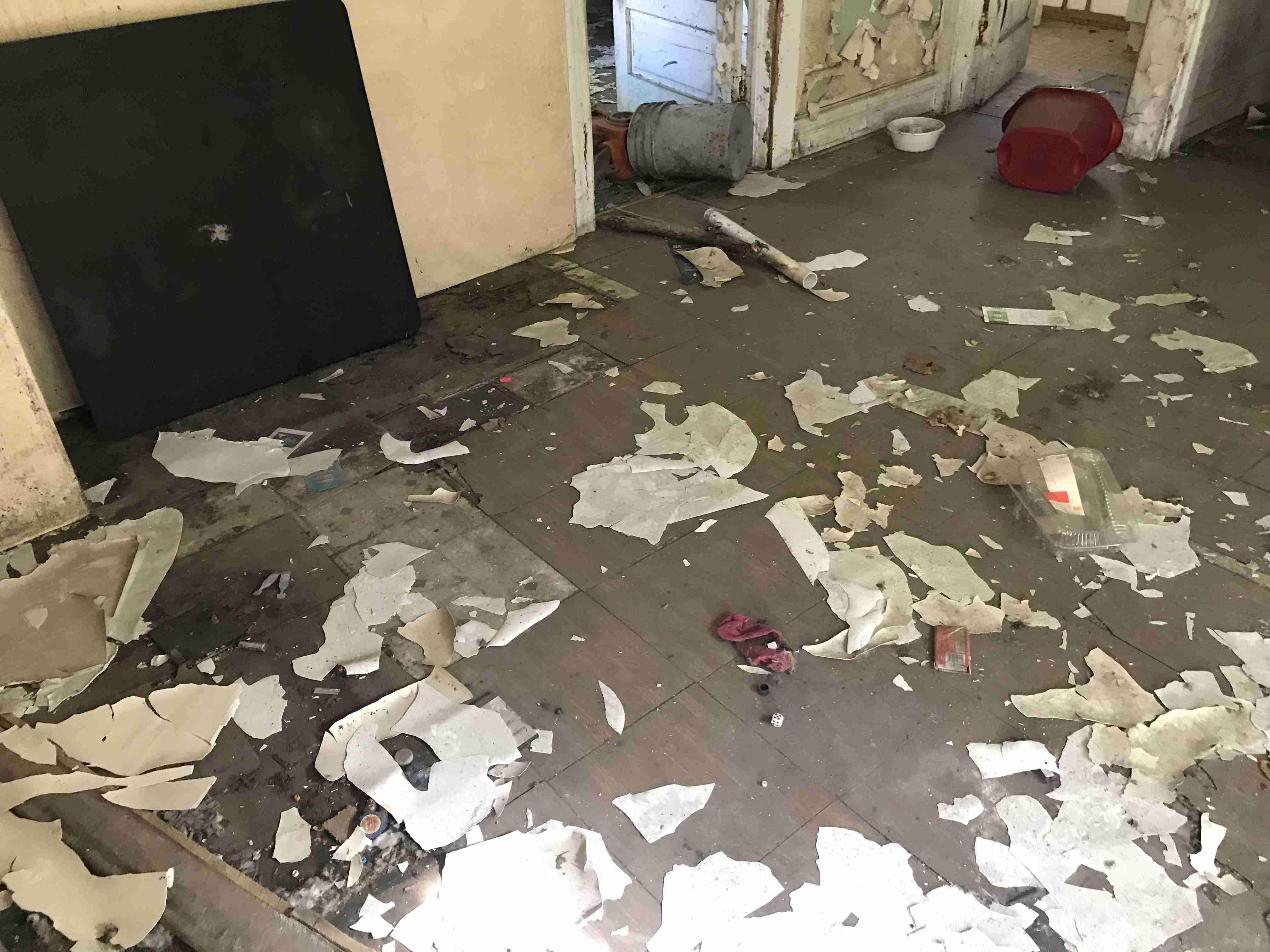 Photo Oct 13, 11 40 38 AM.jpg